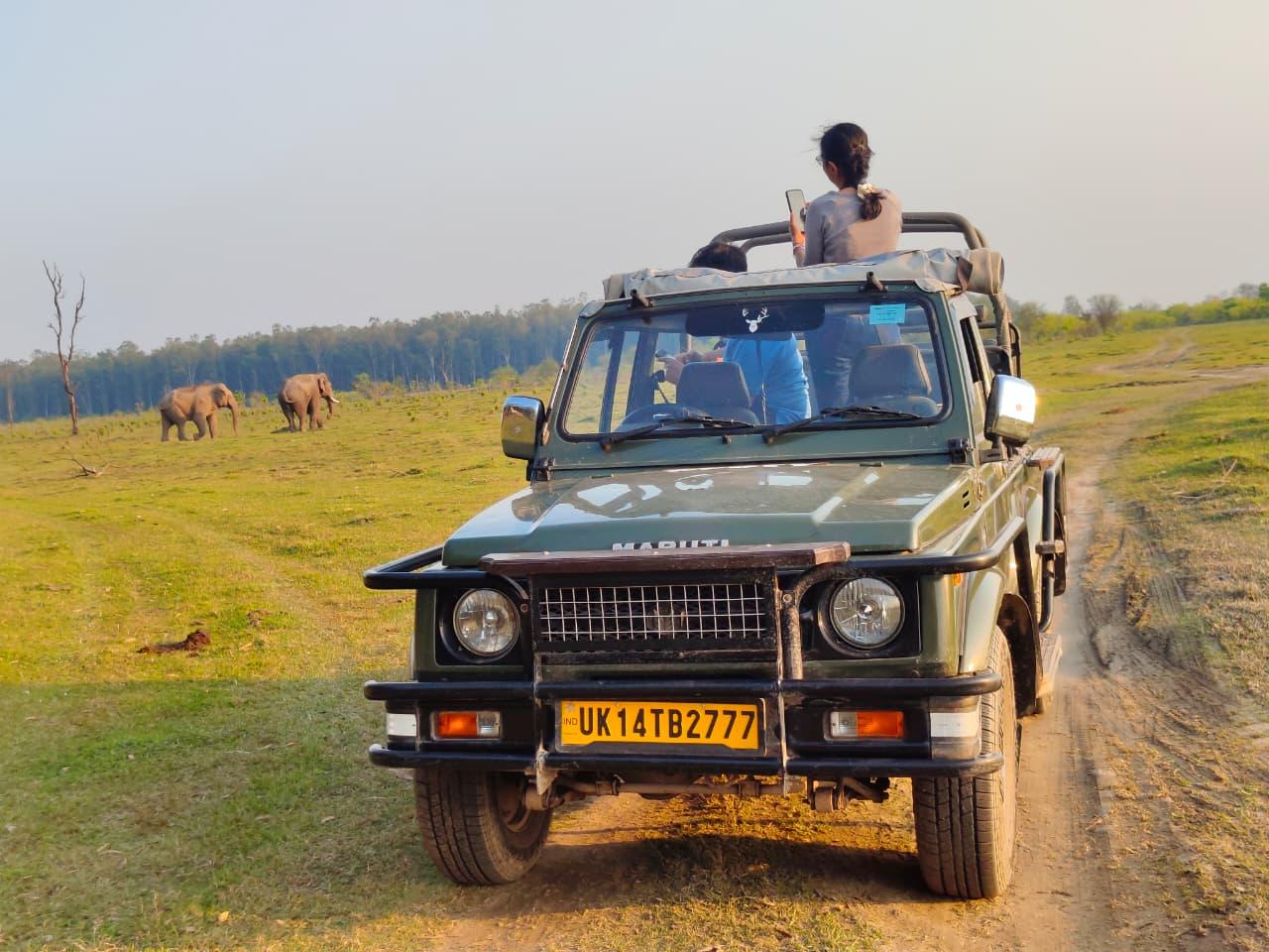 Wild Elephants spotted on Rajaji National Park Jeep Safari