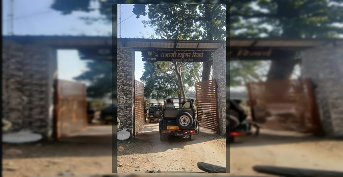 Chillawali Safari